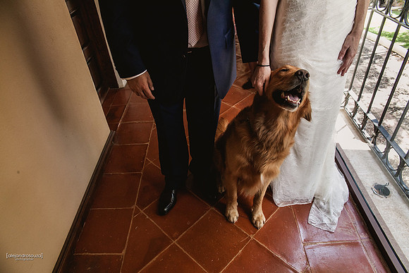 fotografo de bodas en guadalajara