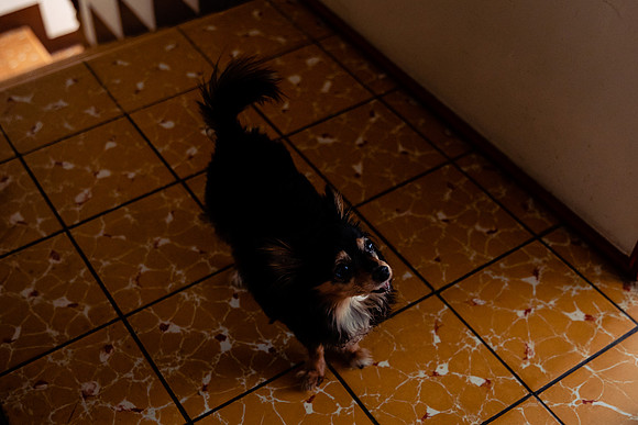 fotógrafo bodas guadalajara