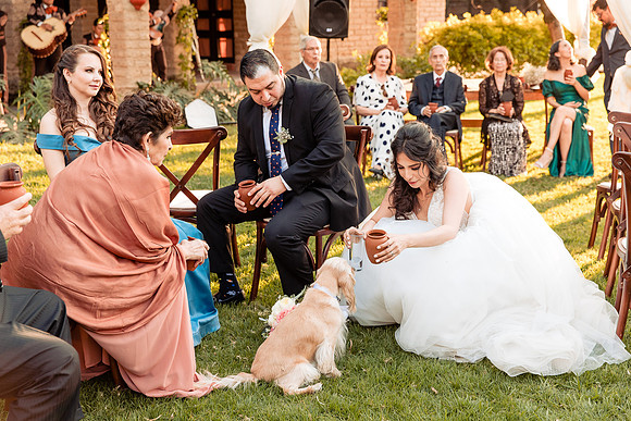 fotógrafo de bodas guadalajara