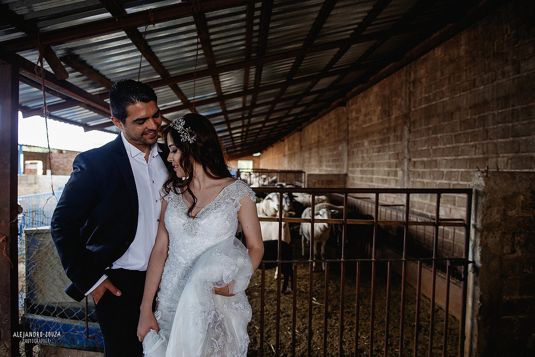 fotógrafo de boda en guadalajara