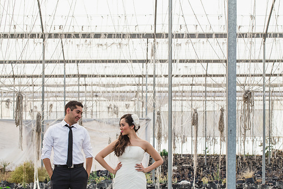 fotografo bodas guadalajara