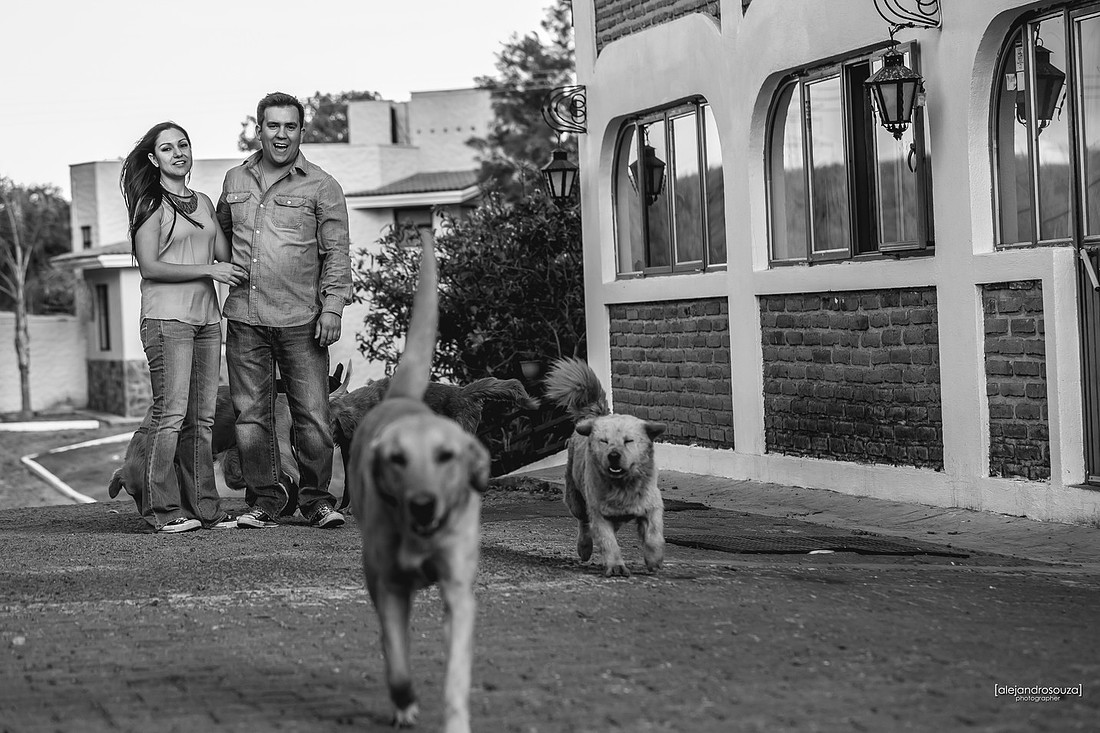 fotografo de bodas en guadalajara