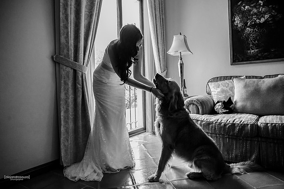 fotografo de bodas en guadalajara