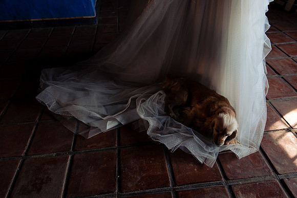 fotógrafo de bodas guadalajara