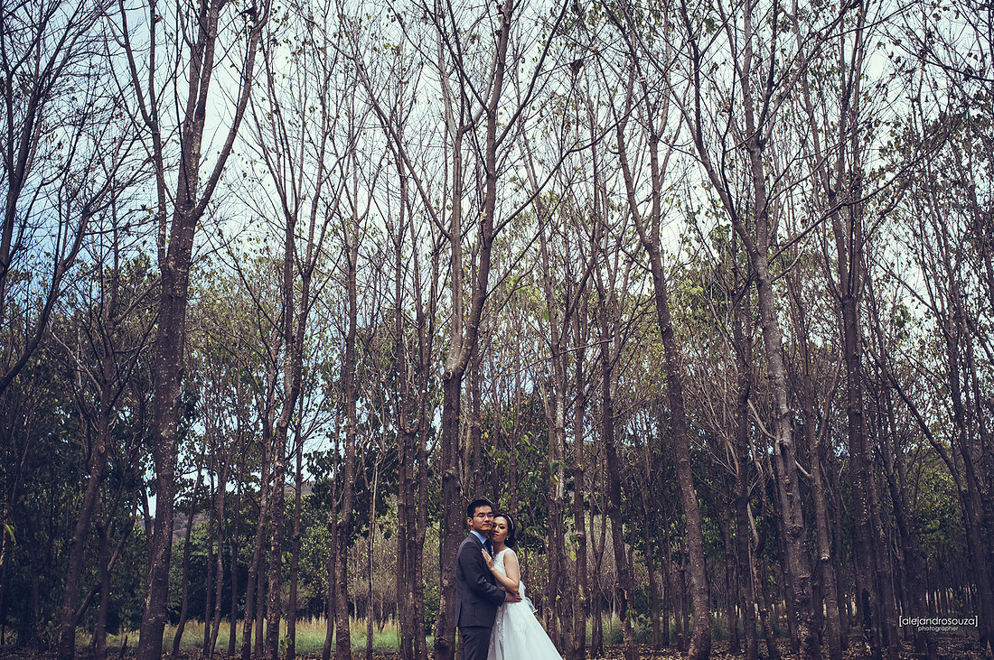 fotografo creativo 