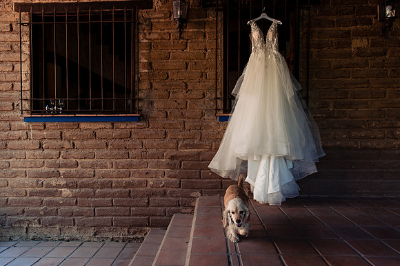 fotógrafo de bodas guadalajara