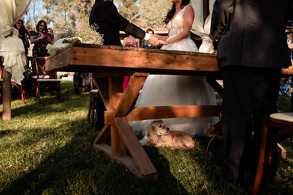 fotógrafo de bodas guadalajara