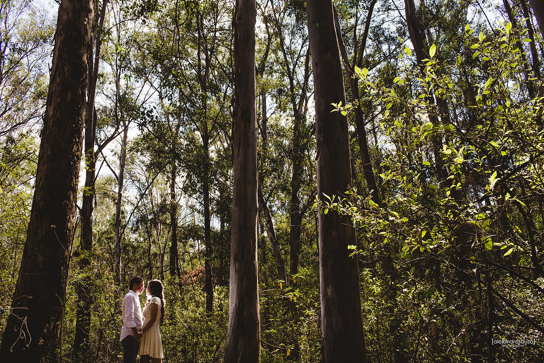 fotografo bodas guadalajara