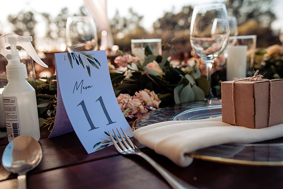 fotógrafo de bodas guadalajara