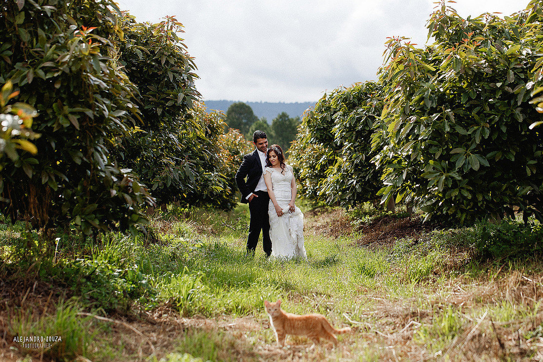 fotógrafo de boda en guadalajara