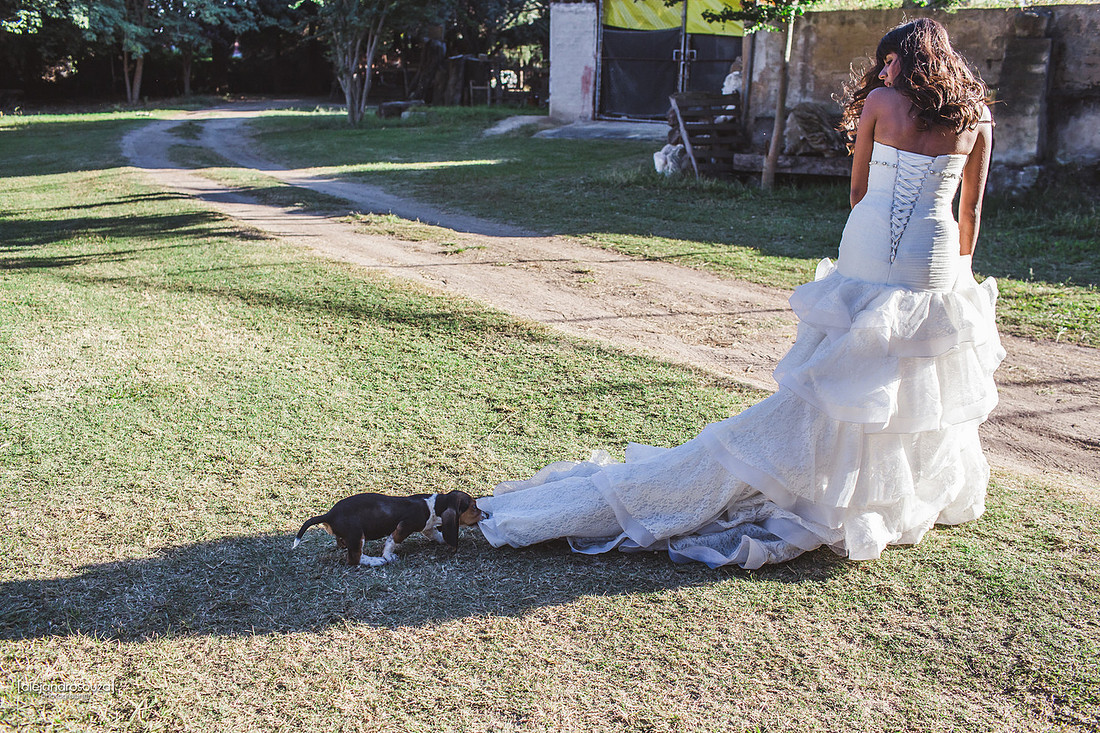fotografo bodas guadalajara