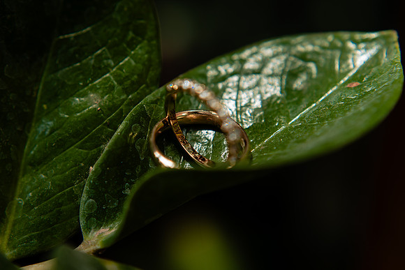 fotógrafo de bodas guadalajara