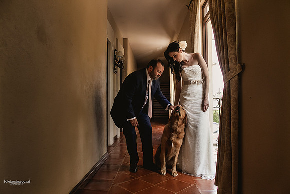 fotografo de bodas en guadalajara