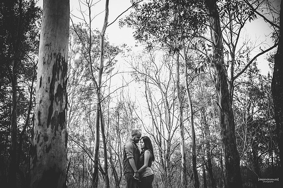 fotografo bodas guadalajara