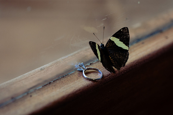 fotógrafo de bodas puerto vallarta