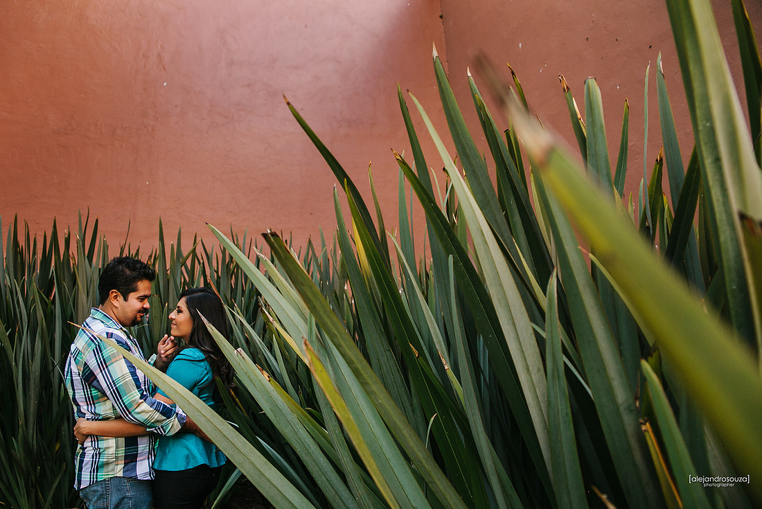 fotografo de bodas en guadalajara