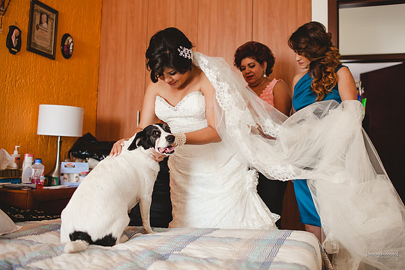 fotografo bodas guadalajara