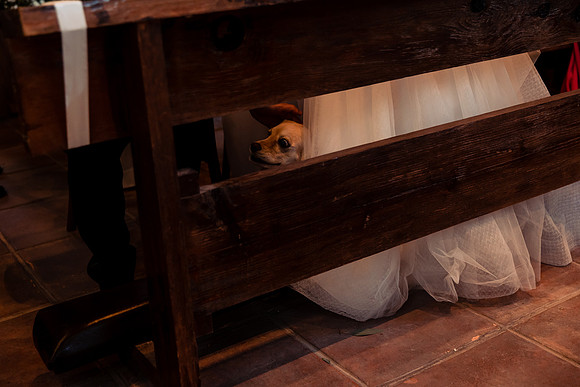 fotógrafo de bodas guadalajara