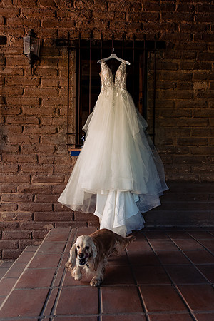 fotógrafo de bodas guadalajara
