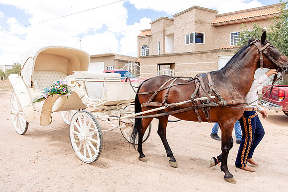 fotógrafo bodas guadalajara