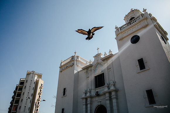 fotografo de bodas en guadalajara