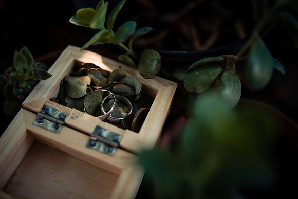 fotógrafo de bodas guadalajara
