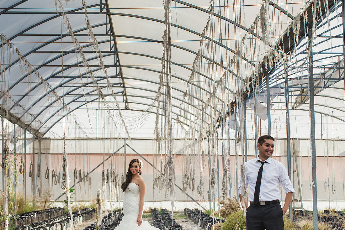 fotografo bodas guadalajara