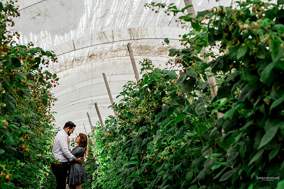 fotografo bodas guadalajara