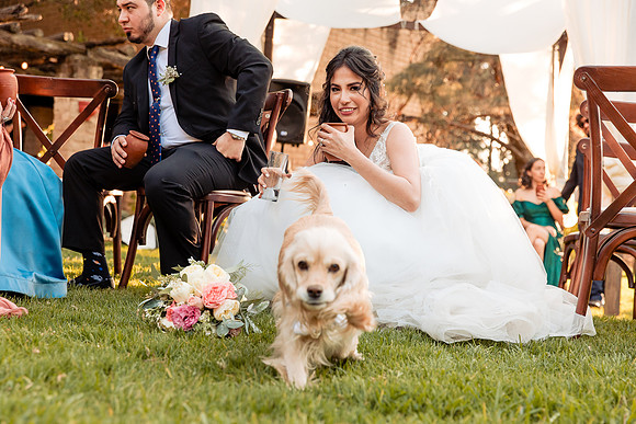 fotógrafo de bodas guadalajara