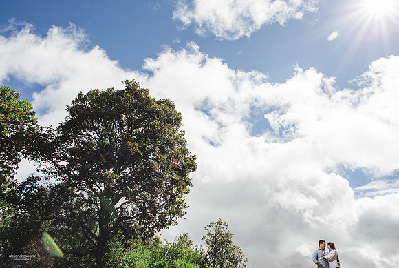 bodas en guadalajara