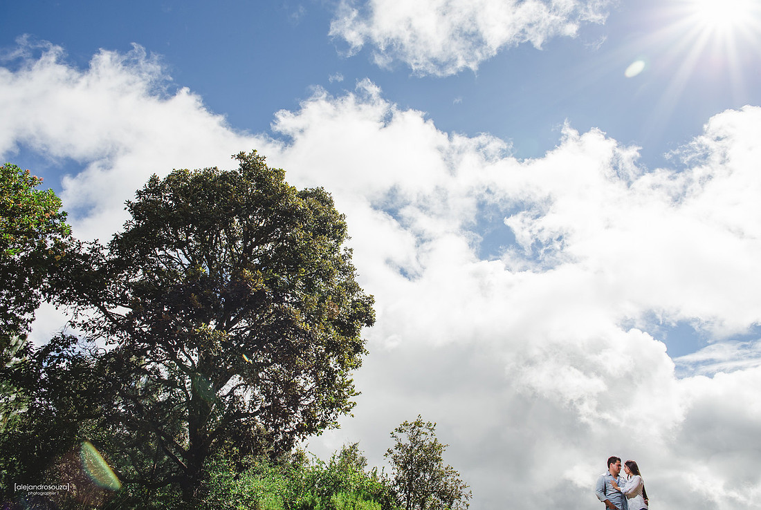 bodas en guadalajara