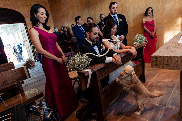 fotógrafo de bodas guadalajara