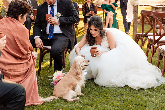 fotógrafo de bodas guadalajara